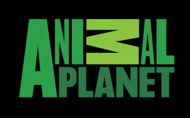 Animal Planet Unites Cricket Fans With The Animal Kingdom