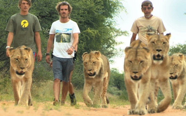 Harnas Wildlife Rescue Camp on Animal Planet