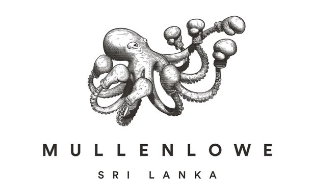 MullenLowe Group wins ‘Effie Agency of the Year’ in Sri Lanka