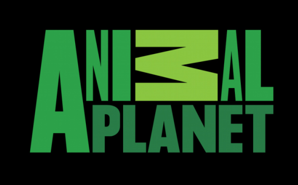 Animal Planet to premiere ‘Crikey! It’s The Irwins’ in India on Nov 15th