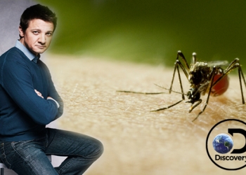 Discovery set for the Global premier of Mosquito