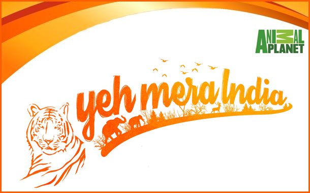 Animal Planet Yeh Mera India 2017