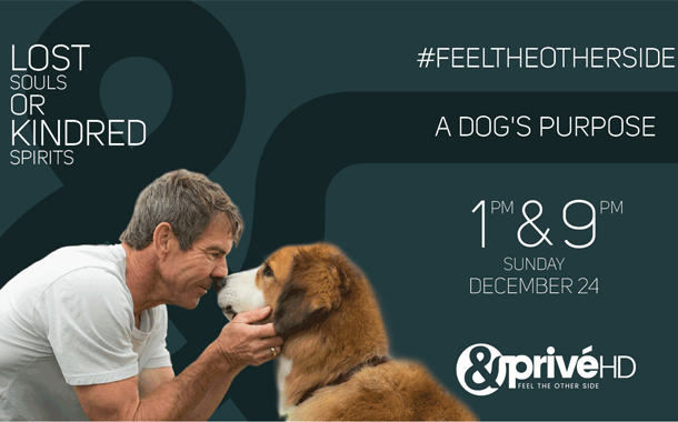 &Privé HD to premiere ‘A Dog’s Purpose’