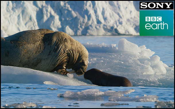 Blue Planet II Premieres 25th June at 9PM on Sony BBC Earth