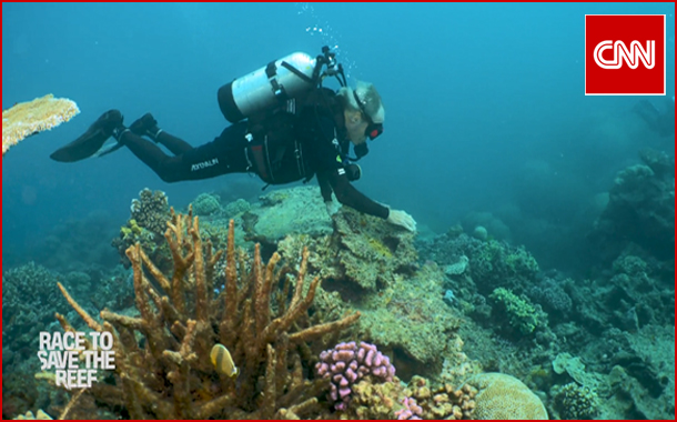 CNN to air special documentary ‘Race to Save the Reef’ from 25th August