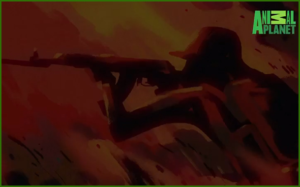 Animal Planet sharpens focus on conservation with a brand-new philosophy 'Humans Like Us'