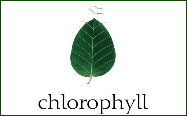 chlorophyll enters its 20th year as chlorophyll 3.0 - with new offerings to help clients 'Mind The Gap'