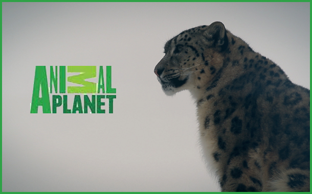 Animal Planet to air wildlife film ‘Gyamo- Queen of the mountains’ on Nov 27th