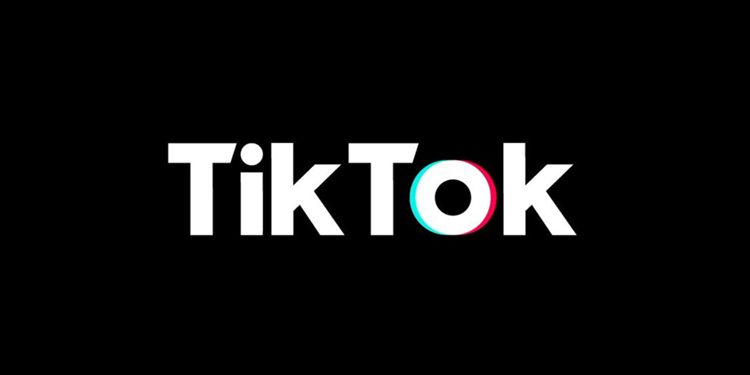 TikTok launches #CricketWorldCup challenge to celebrate ICC Cricket World Cup 2019