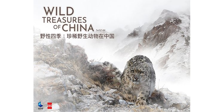 ZED & CCTV-9 to launch Wild Treasures Of China, an ambitious coproduction