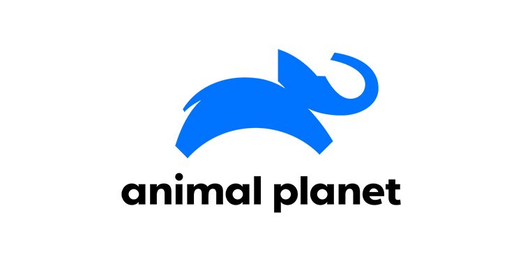 Animal Planet unveils new brand identity & refreshed programming line-up; Launches Tamil language feed