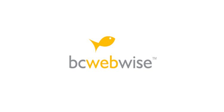 DesignRush Ranks BC Web Wise among Top Digital Agencies in the World
