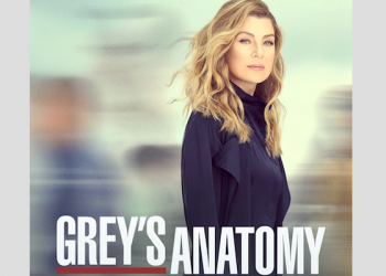 Grey's Anatomy Season 16