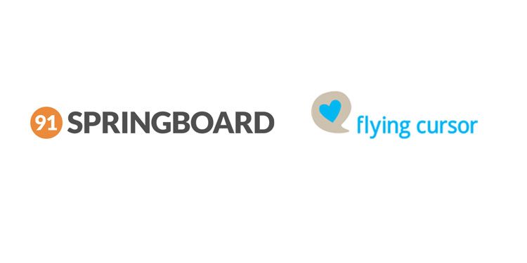 Flying Cursor Interactive bags 91springboard’s digital, social media mandate