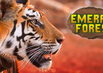 EPIC Channel to air the two-part original docu- series 'Emerald Forest' on 21st March