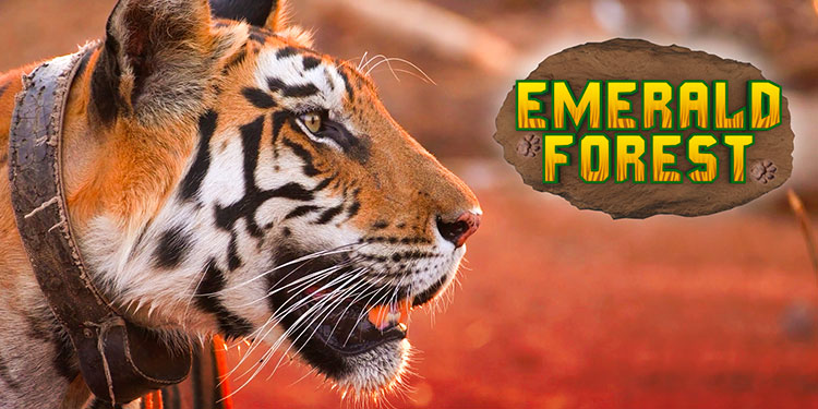 EPIC Channel to air the two-part original docu- series 'Emerald Forest' on 21st March