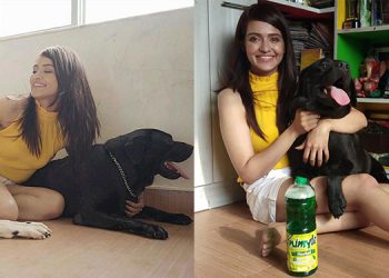 SVF Brands and ITC Nimyl collaborate to unveil the Nimyle Petathon campaign