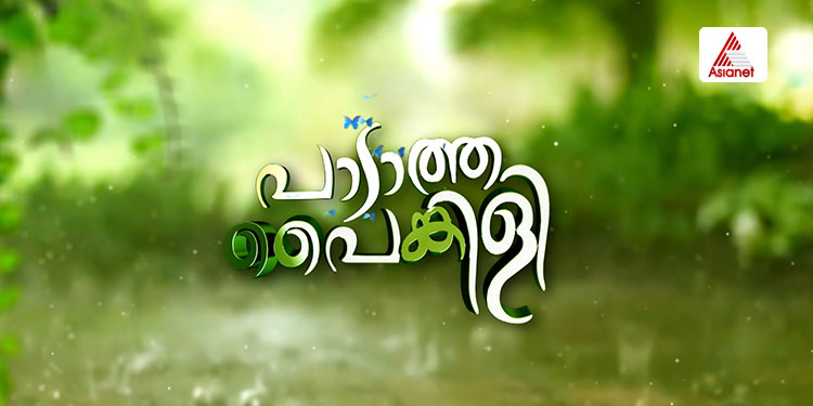 Asianet to telecast new serial 'Padatha Paingili' from 7th September
