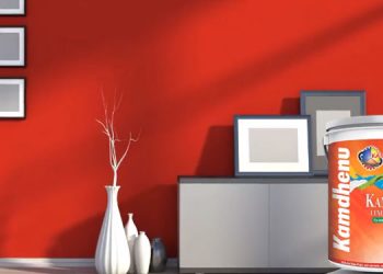 Kamdhenu Paints kick-starts a new social media campaign to educate consumers about its products