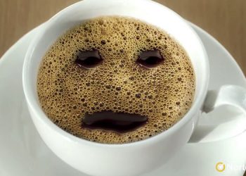 NortonTM 360 launched its first communication campaign in India with Havas Group India