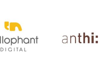Yellophant Digital Wins Digital Marketing Mandate For anthi: