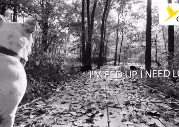 Origami Creative releases Lockdown Lullaby Song to throw light on Mental Health