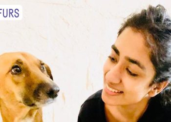 Sensitising the Society to the Adoption of Pets, Forfurs initiates a Social Awareness Campaign #Adoptdontshop