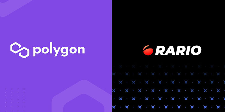 Rario Debuts on Polygon With Officially Licensed Cricket NFTs
