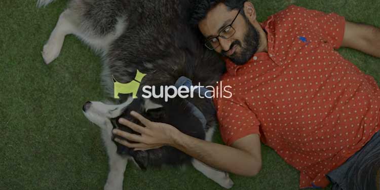 Supertails - A Fascinating Comprehensive Guide - DotCom  Magazine-Influencers And Entrepreneurs Making News