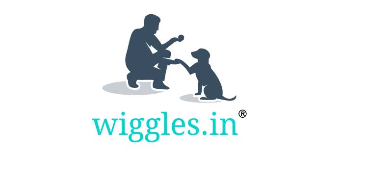 Wiggles.in celebrates Valentine's Day with pets with its heartwarming #LoveIsInTheCare campaign