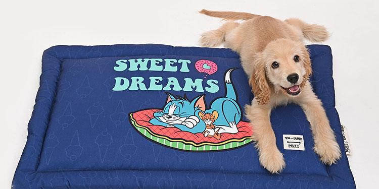Mutt of Course and Warner Bros. Consumer Products launch ‘Tom & Jerry‘ collection for pets