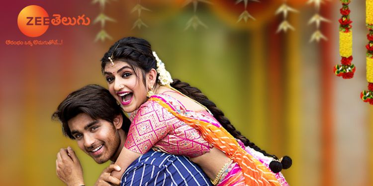Zee Telugu presents the WTP of Pelli SandaD on July 17