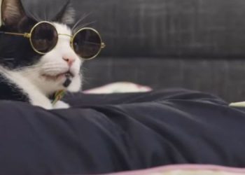 Supertails promotes its 'Swag Sale 2022' with new brand campaign