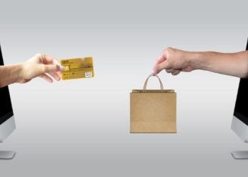 India has 350 mn transacting users; set to grow 2X by 2030: Report