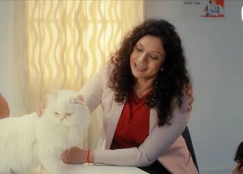 Zigly encourages quality healthcare experiences for pets