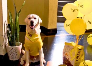 Supertails’ Henlo surprises pet parents with dog delivery boy 'Milo'