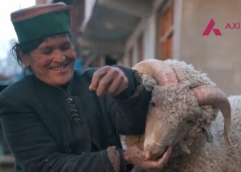 Axis Bank scripts an ode to the mountains to raise funds for HP flood relief