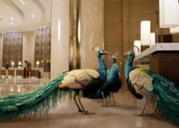 Kohler creates a peacock mirage in the mind with the vibrance of its colours