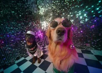 Supertails takes rap route with pets to promote annual ‘Swag’ sale