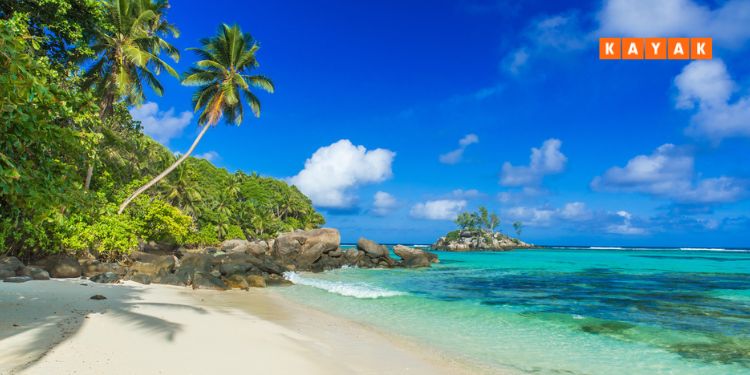 Four in five Indians say will reduce discretionary spends for festive season trips: Kayak research