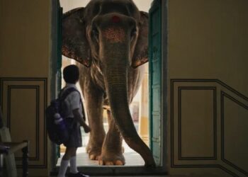 Ambuja Cement makes giant strength pitch with an elephant in the house