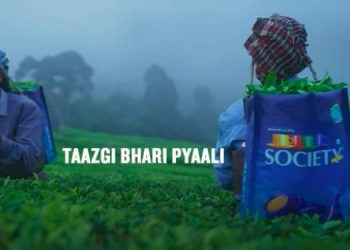 Society Tea emphasises freshness, straight from the tea gardens