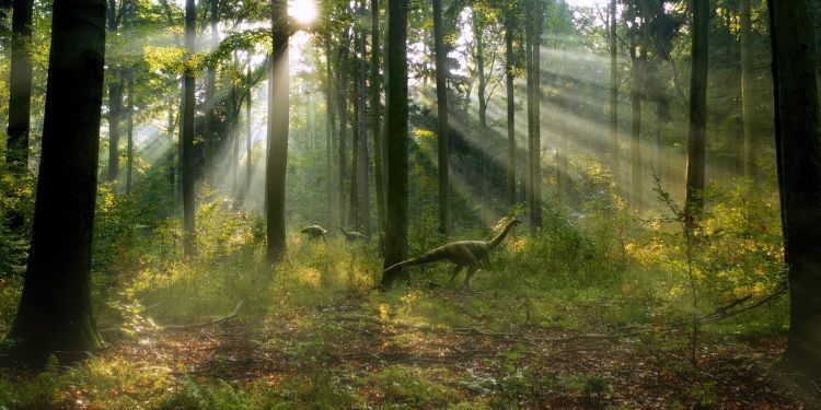 Sony BBC Earth Brings Christmas Joy with ‘All Things Sweet’ and ‘Earth’ Premiere!