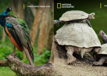 Goa Beyond the Beaches: Embark on an Adventure with Malaika Vaz as National Geographic Explores Goa’s Hidden Gems in its Upcoming Docu-Series ‘Postcards from Goa’