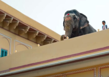 Ambuja, ACC’s Connected TV campaign targets a fresh audience demographic, looks to amplify brand visibility and reinforce recall