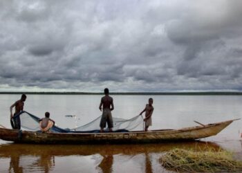 Students from Around the World Take Action to Fight Modern-Day Slavery on CNN’s 8th Annual #MyFreedomDay