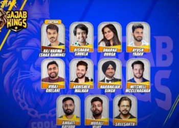 Meta looks to amplify the IPL cricket experience across its platforms