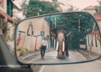 Livpure’s new TVC uses an elephant as a metaphor