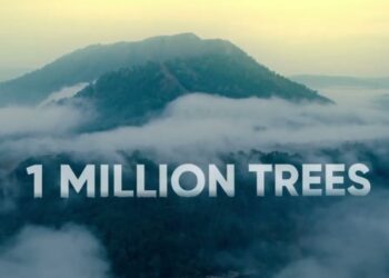 Himalaya Wellness Company Celebrates Milestone of Planting One Million Trees across India