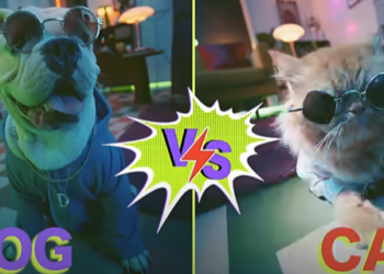 Supertails’ uses a rap battle in its new ad film to promote its sale for pets: Swag 2024